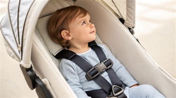 How much weight can a stroller hold?