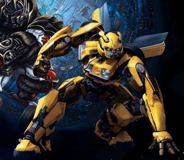 How old is Bumblebee in DC?