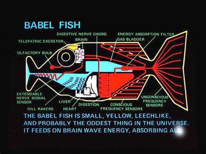 Is a Babel Fish real?
