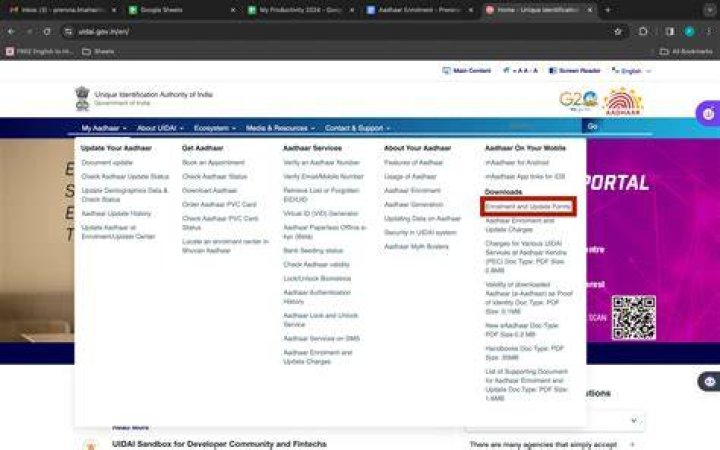 Is Aadhaar correction free?