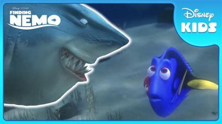 Is Bruce in Finding Nemo?