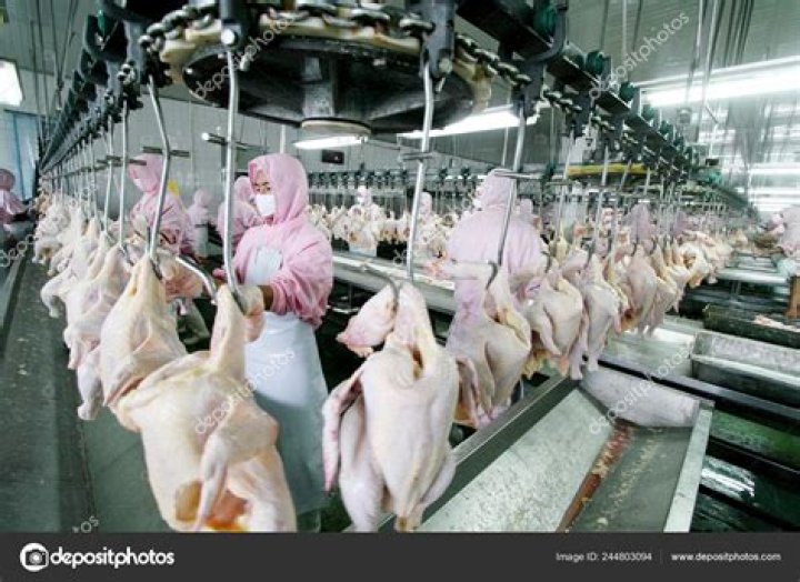 Is chicken produced in China?