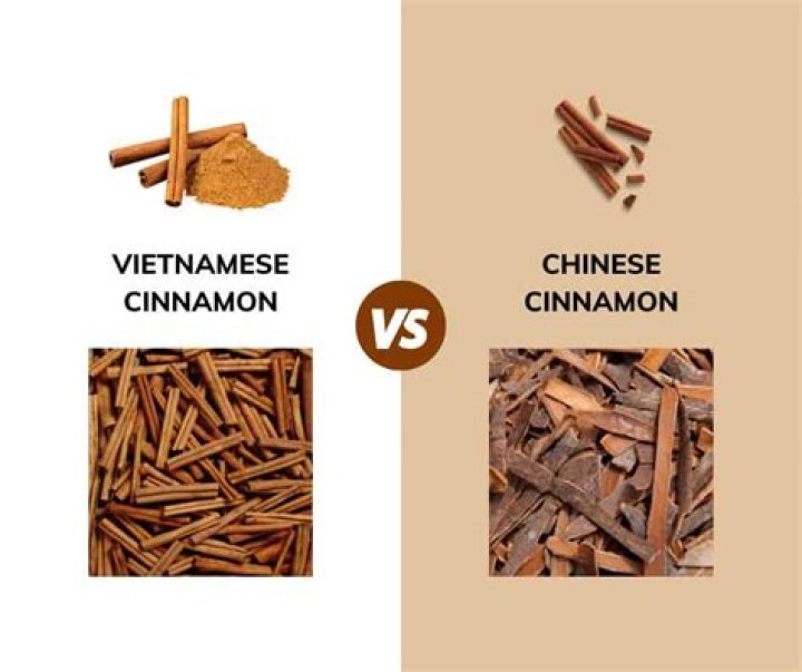 Is cinnamon from Vietnam safe?