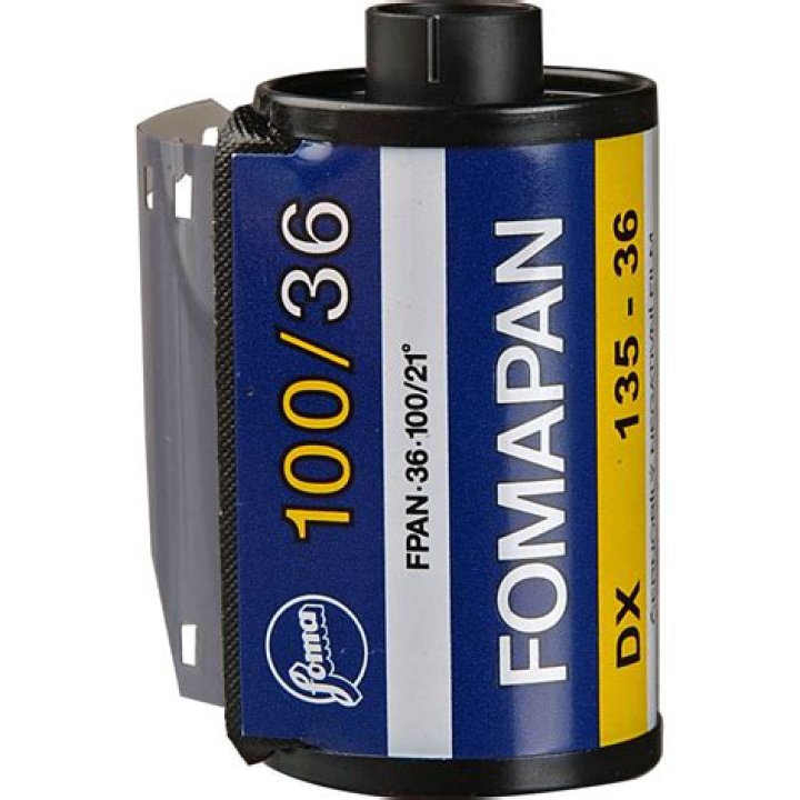 Is Fomapan 100 good?