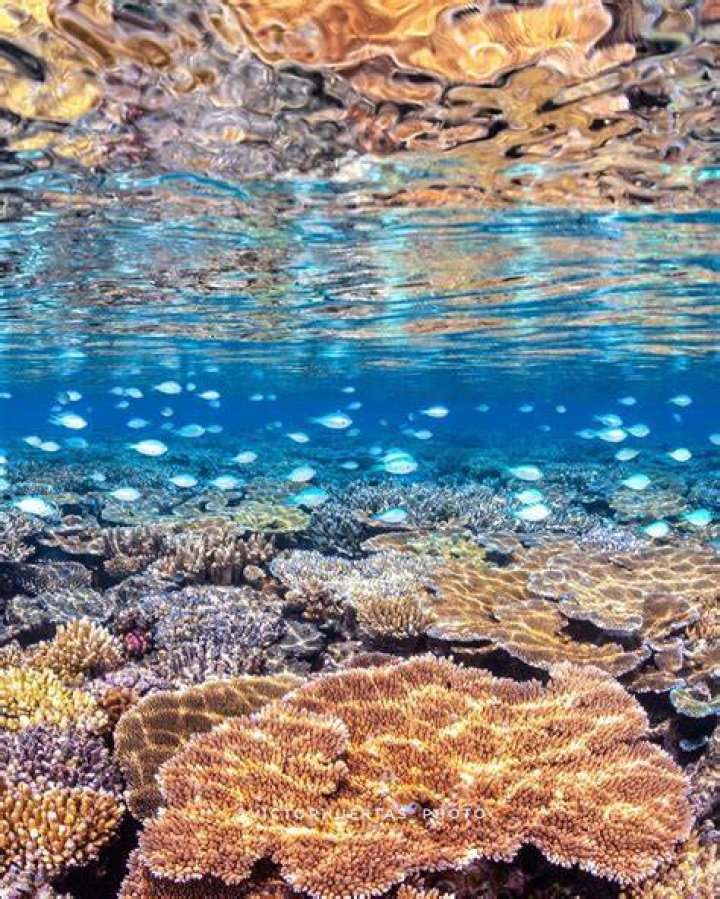Is it free to visit the Great Barrier Reef?