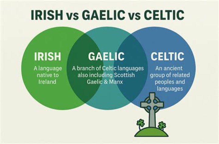 Is MacKinnon Irish or Scottish?