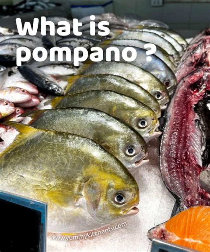 Is pompano cultured fish?