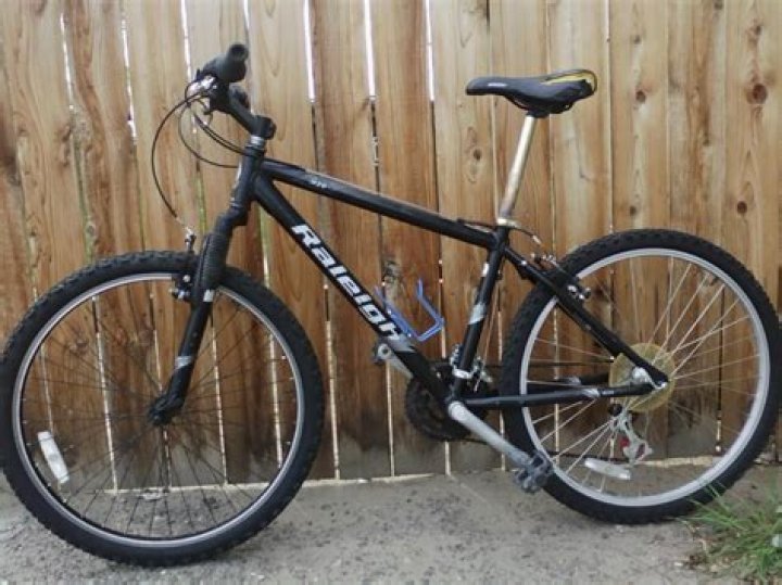 Is Raleigh a good mountain bike brand?