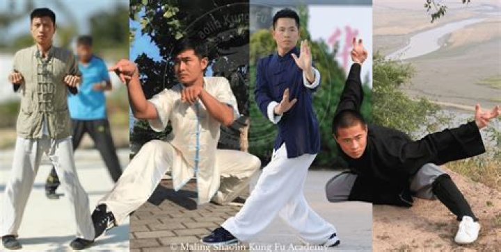 Is Shaolin Kung Fu Northern or Southern?