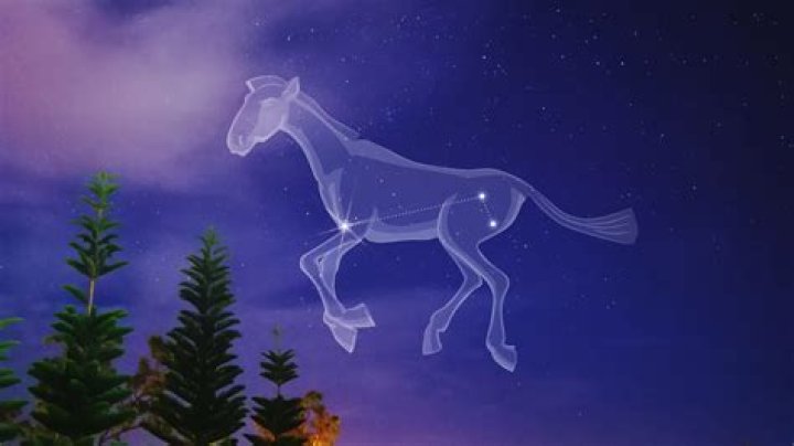 Is there a horse constellation?