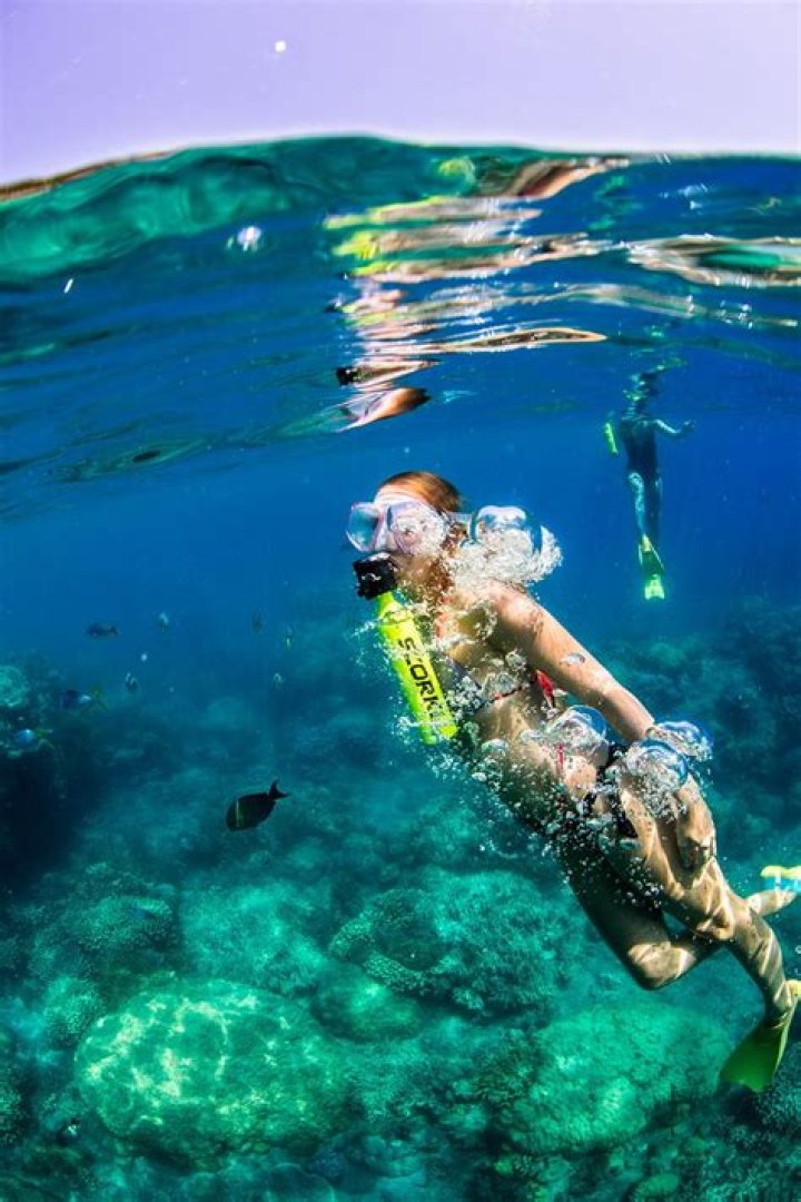 Is there a snorkel that lets you breathe underwater?