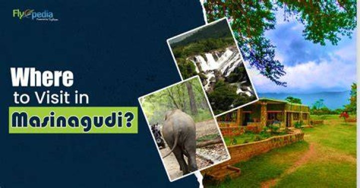 Is Tourist allowed in Masinagudi?