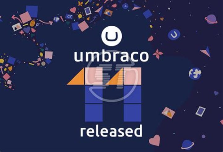 Is umbraco a database?