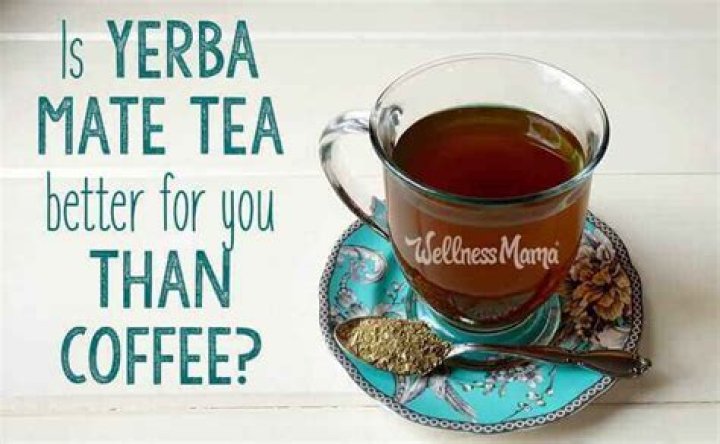 Is yerba mate better for you than coffee?