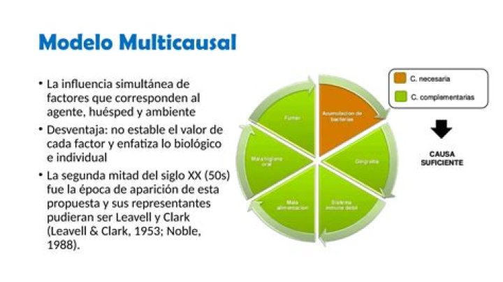 O que e a teoria multicausal?