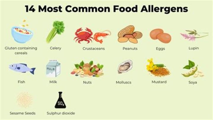 What are 3 foods that more commonly cause allergies in infants?