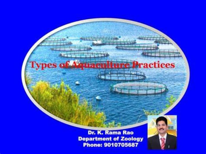 What are 5 types of aquaculture?