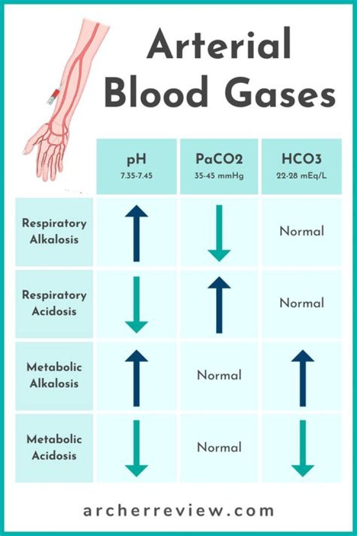 What are arterial gases?