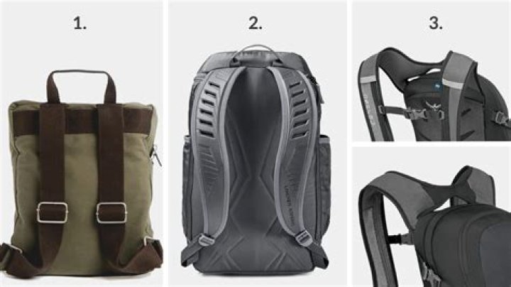 What are bags with shoulder straps called?