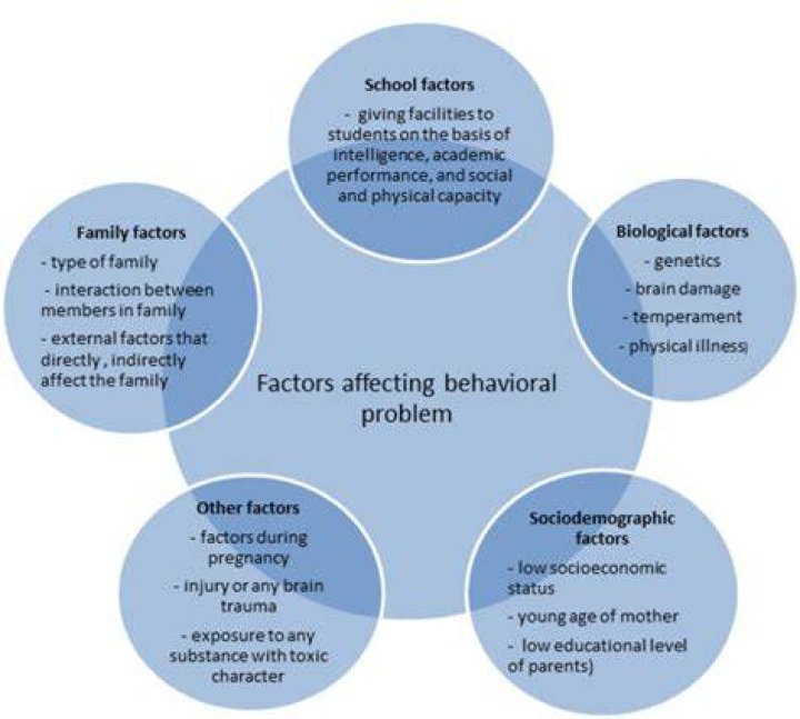 What are examples of behavioral problems?