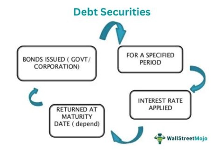 What are examples of debt securities?