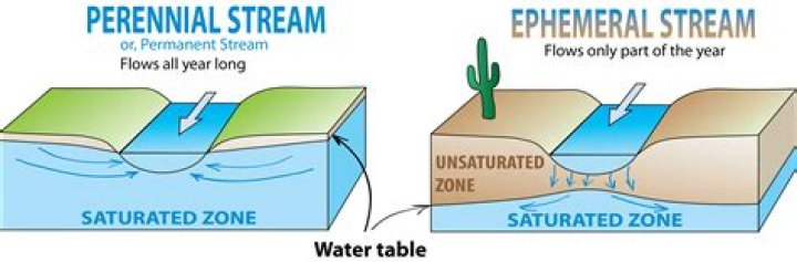 What are exotic streams?