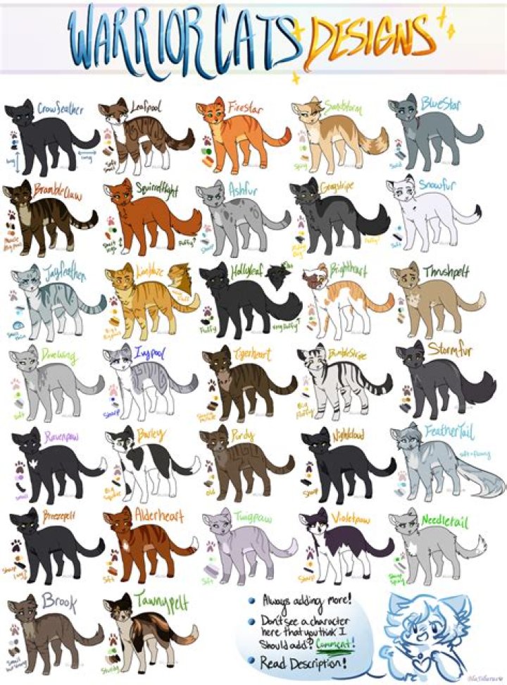 What are Kittypets in warrior cats?