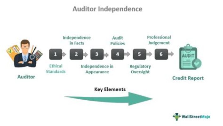 What are practice statements in auditing?