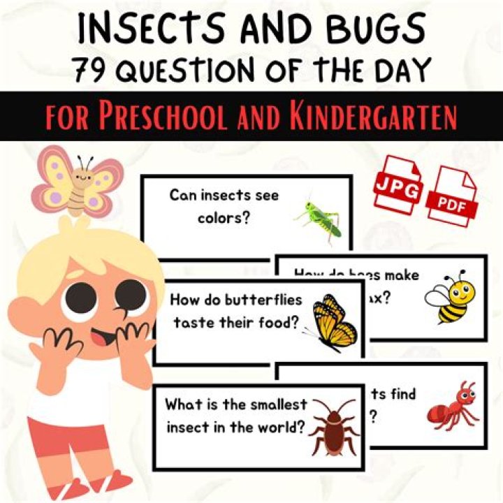 What are some questions about bugs?