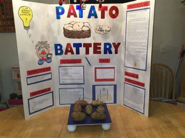 What are some science fair projects for 5th graders?