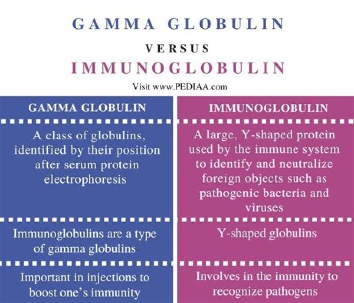 What are symptoms of low gamma globulin?