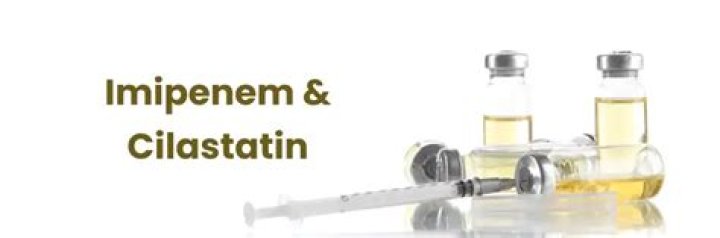 What are the adverse effects of imipenem cilastatin?