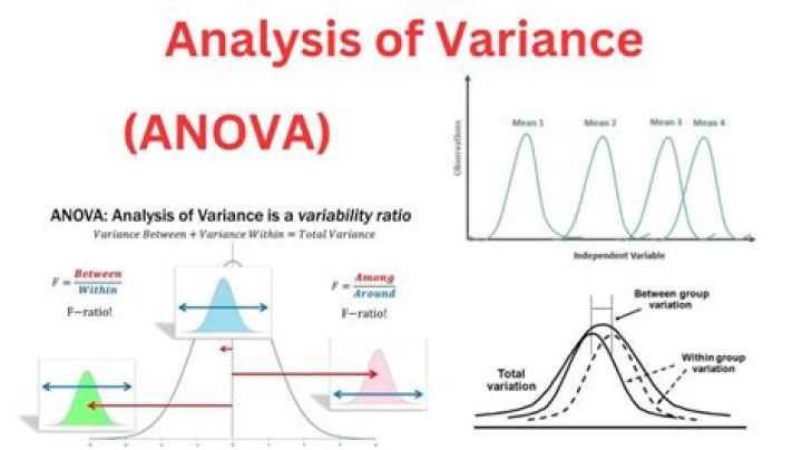 What are the assumptions in analysis of variance?