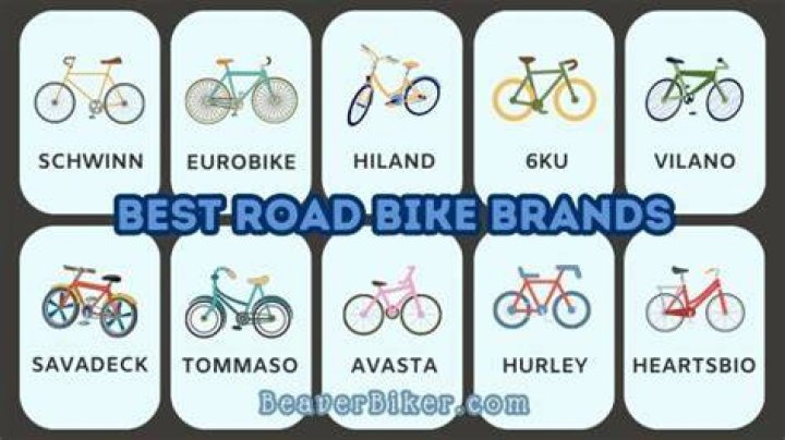 What are the best road bike brands?