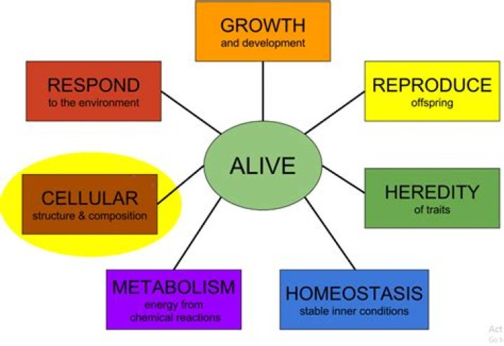 What are the characteristics of life in biology?