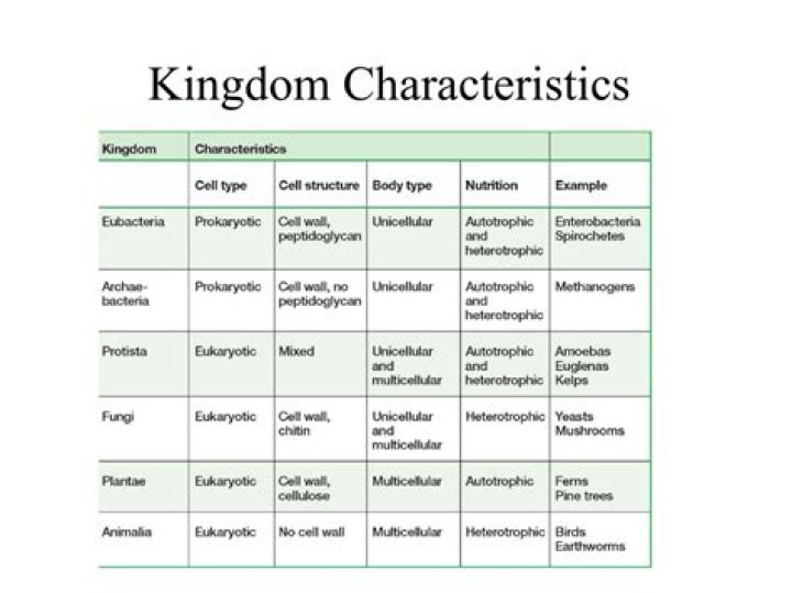 What are the characteristics of the Kingdom?