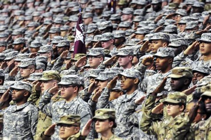 What are the commands for saluting?