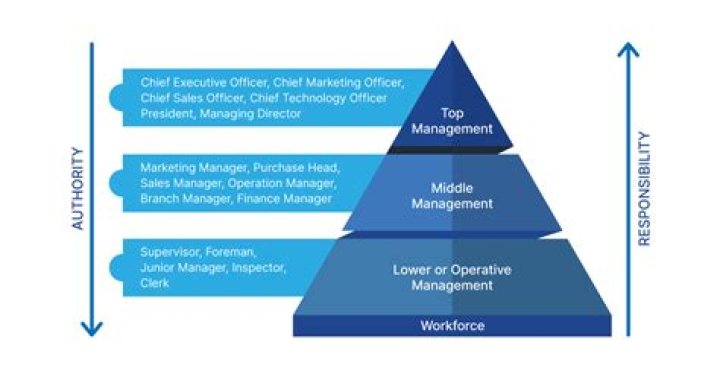 What are the different levels of executives?