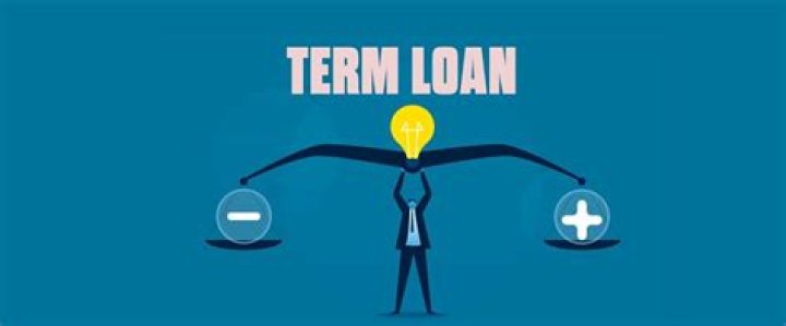 What are the disadvantages of term loans?