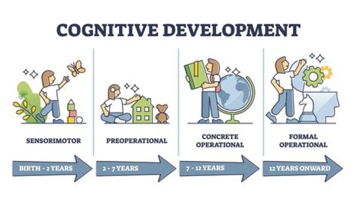 What are the four main parts of the training and development process?