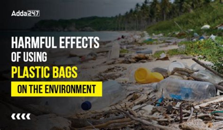 What are the harmful effects of plastic bags?