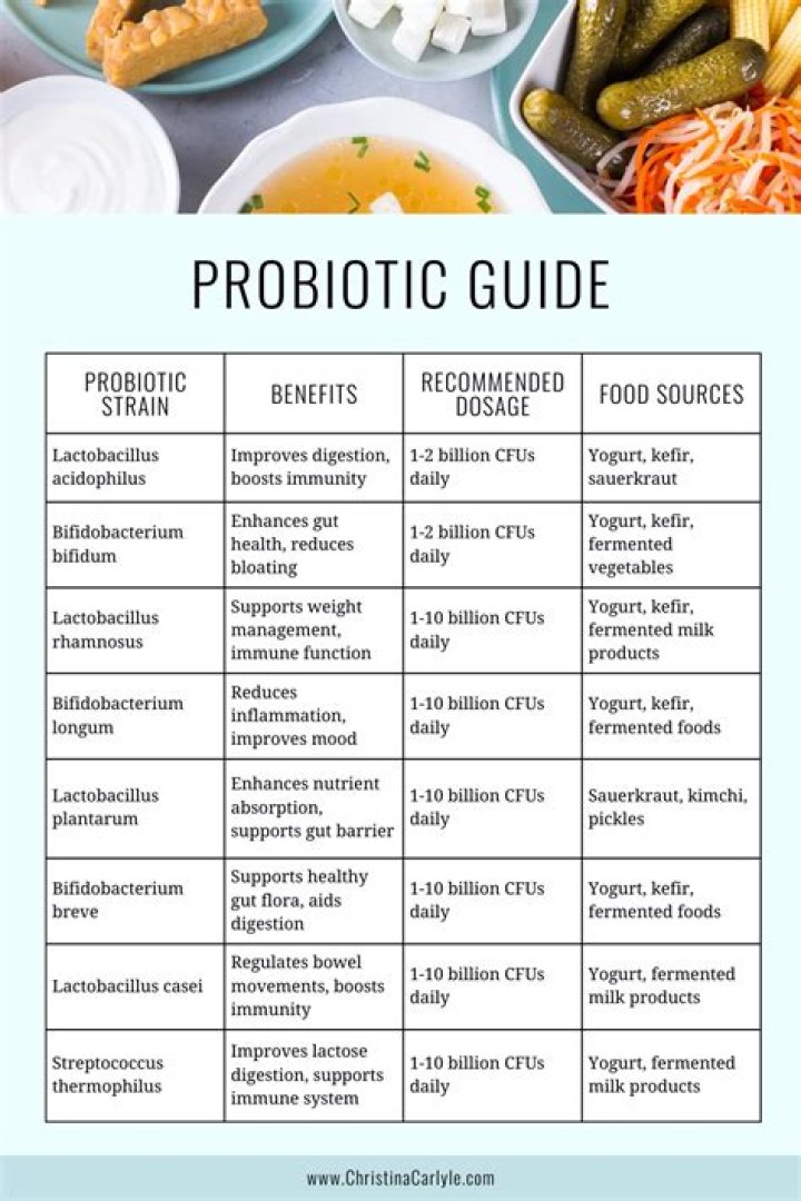 What are the ingredients of probiotics?