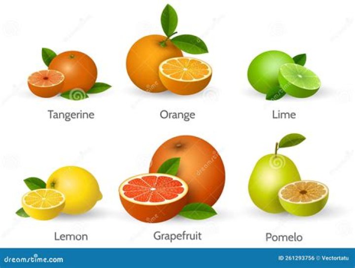 What are the little sacs in an orange called?