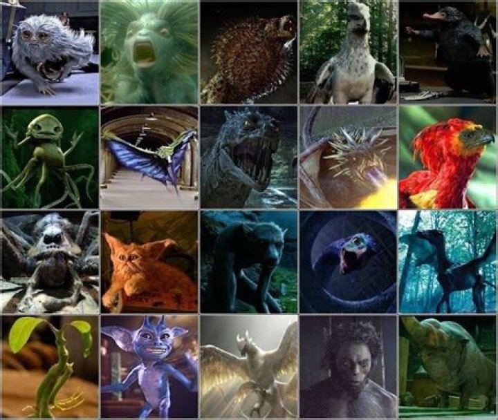 What are the magical animals in Harry Potter called?