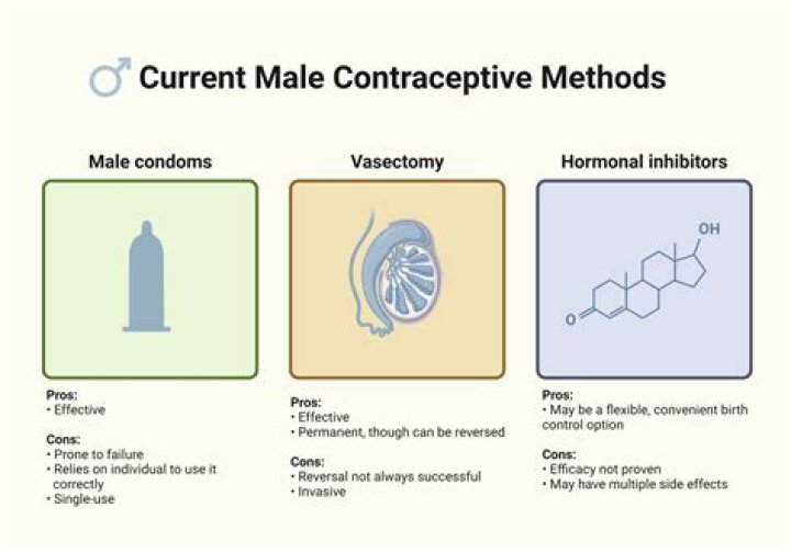 What are the male contraceptive methods?