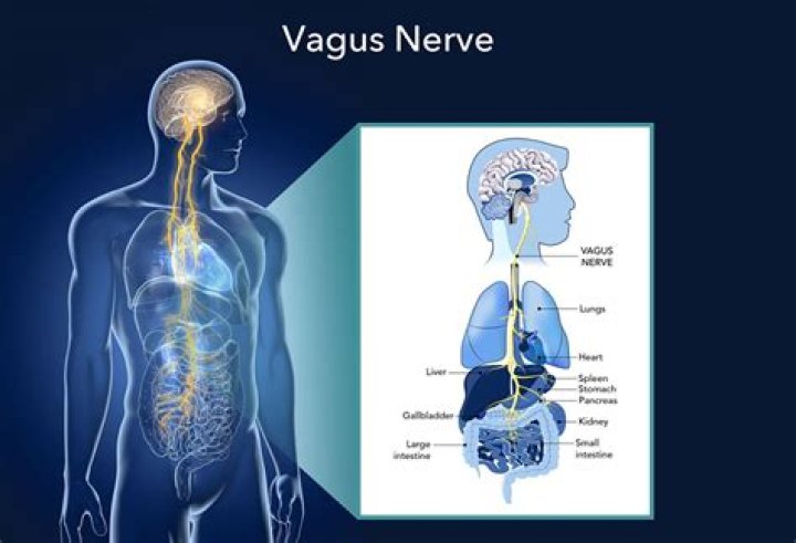 What are the side effects of vagus nerve stimulation?