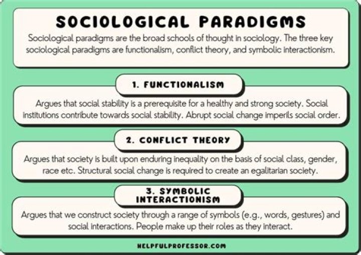 What are the significant contribution of sociology?
