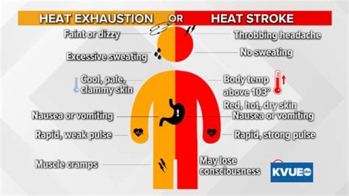 What are the signs and symptoms of heat stroke and heat exhaustion?
