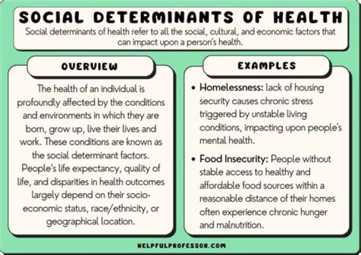What are the social determinants of community development?