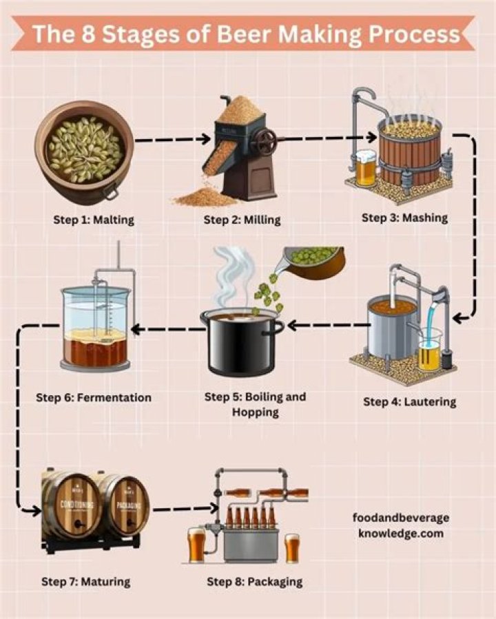 What are the steps of brewing beer?